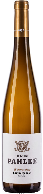 Spätburgunder Wammesplatz BILD_2018